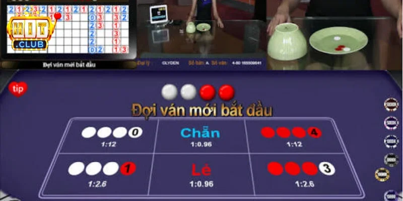Những rủi ro trên môi trường internet